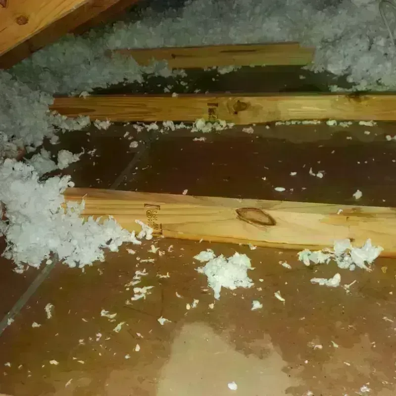 Attic Water Damage in Cameron Park, CA