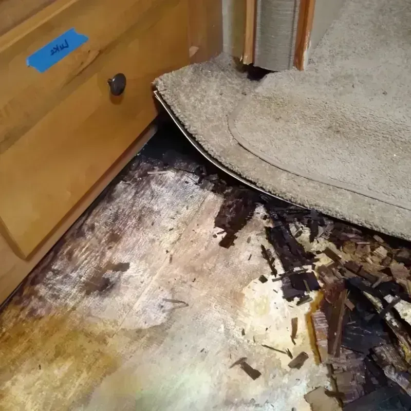 Wood Floor Water Damage in Cameron Park, CA